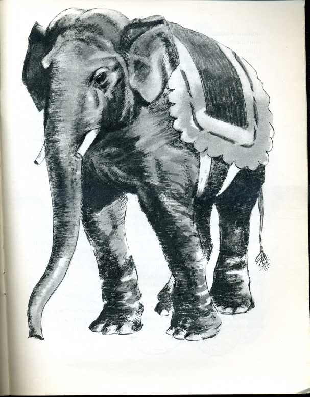 История слоника. Куприн а. и. "слон". Слон рассказ Куприна. Слон: рассказы. Куприн а.. Куприн слон иллюстрации.