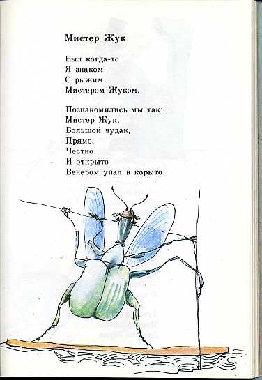 Текст про жуков. Мистер Жук стихотворение. Стихотворение про жука.