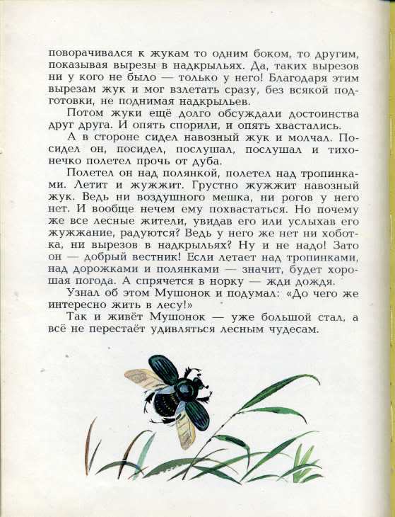 Любкины тропы рассказ. Юрий Дмитриевич Дмитриев тропинка в лесу. Дмитриев Лесные малыши. Дмитриев тропинка в лесу читать. Тропинка в лесу Дмитриев читать текст.