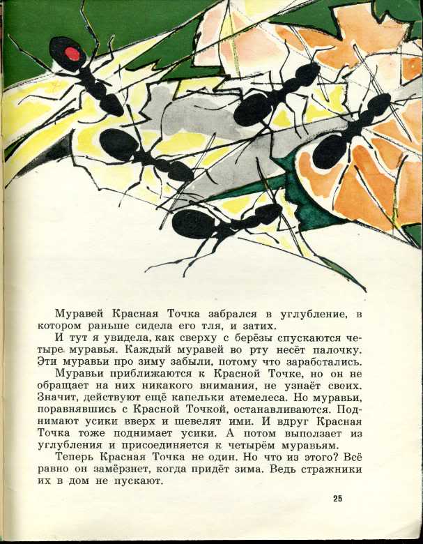 Читать книгу муравьи. Романова н. «муравей красная точка». Рассказ про муравья с красной точкой. Муравей красная точка книга. Муравей красная точка иллюстрации.