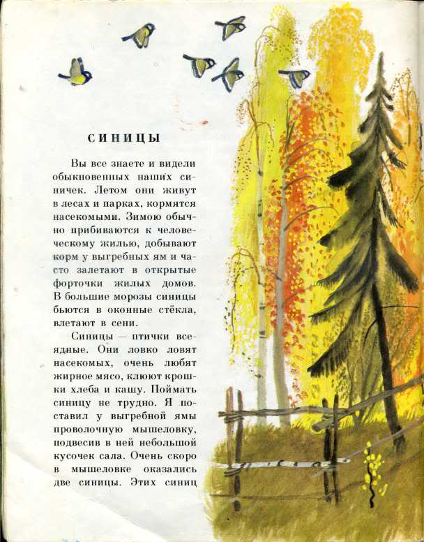 И соколов микитов русские сказки о природе урок 3 класс презентация