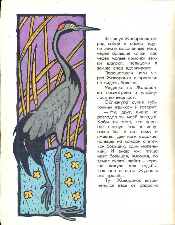 Ноги рассказ. Виталий Бианки чьи это ноги. Чьи это ноги Бианки. Чьи это ноги Бианки читать. Виталий Бианки рассказы «чьи это ноги?»..