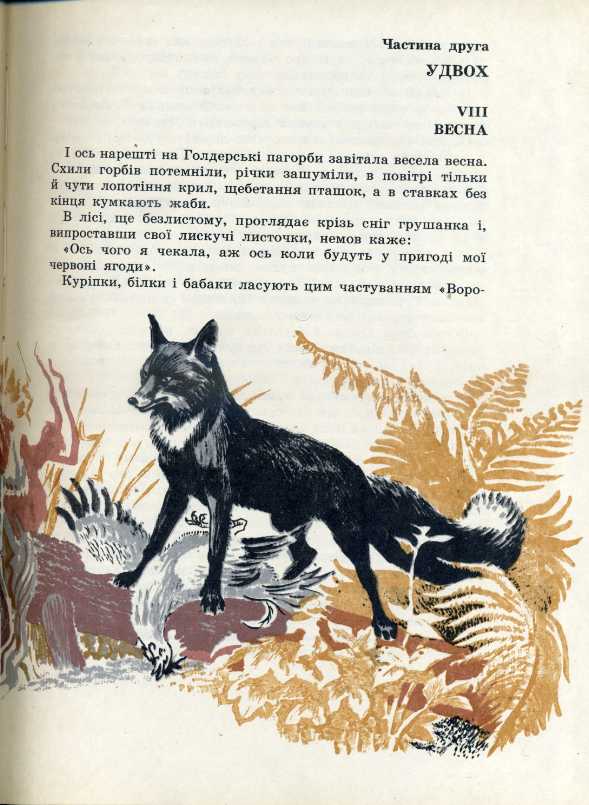 Рассказ томпсона чинк. Сетон Томпсон снап иллюстрации. Чинк Сетон-Томпсон гдз. Сетон-Томпсон рассказы о животных Чинк краткое содержание. Рассказ э Сетона-Томпсона про черного лиса.