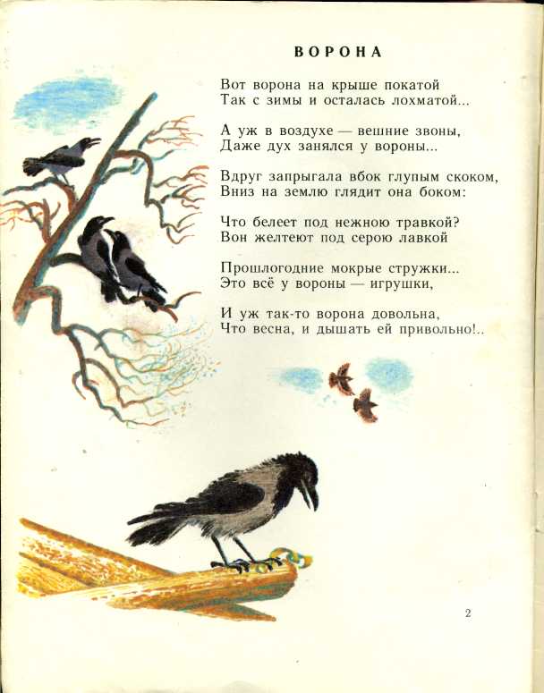 Ворон ворону стихотворение. Стих ворона Александр Александрович блок. Стих ворона блок. Стихотворение Александра Александровича блока ворона. Александр Александрович блок стихотворение ворона иллюстрация.