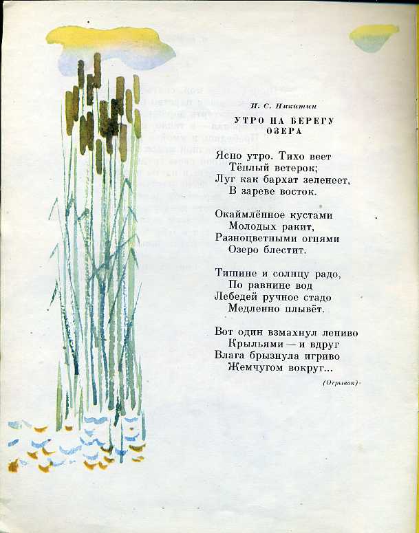 Стихотворение никитиной. Стих утро на берегу озера Никитин. Стихотворение утро Никитин. Никитин иллюстрации к стихам. Стихотворение про Никиту.